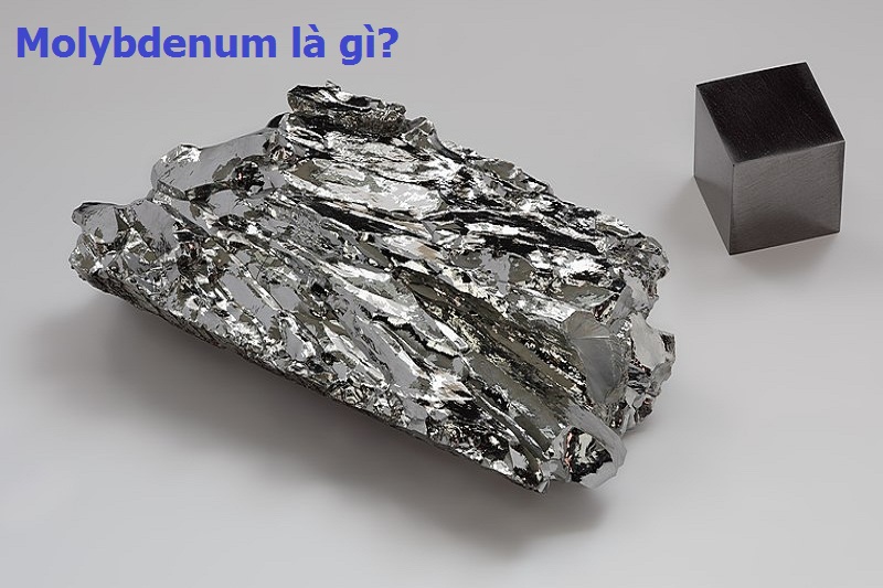 Molybdenum là gì?